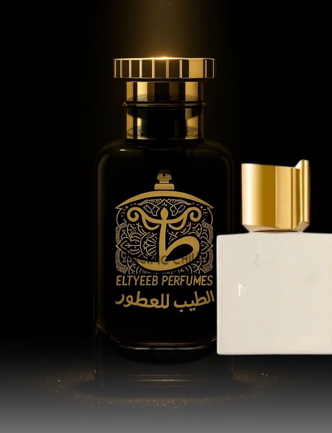 WhatsApp Image 2026-02-04 at 20.52.18